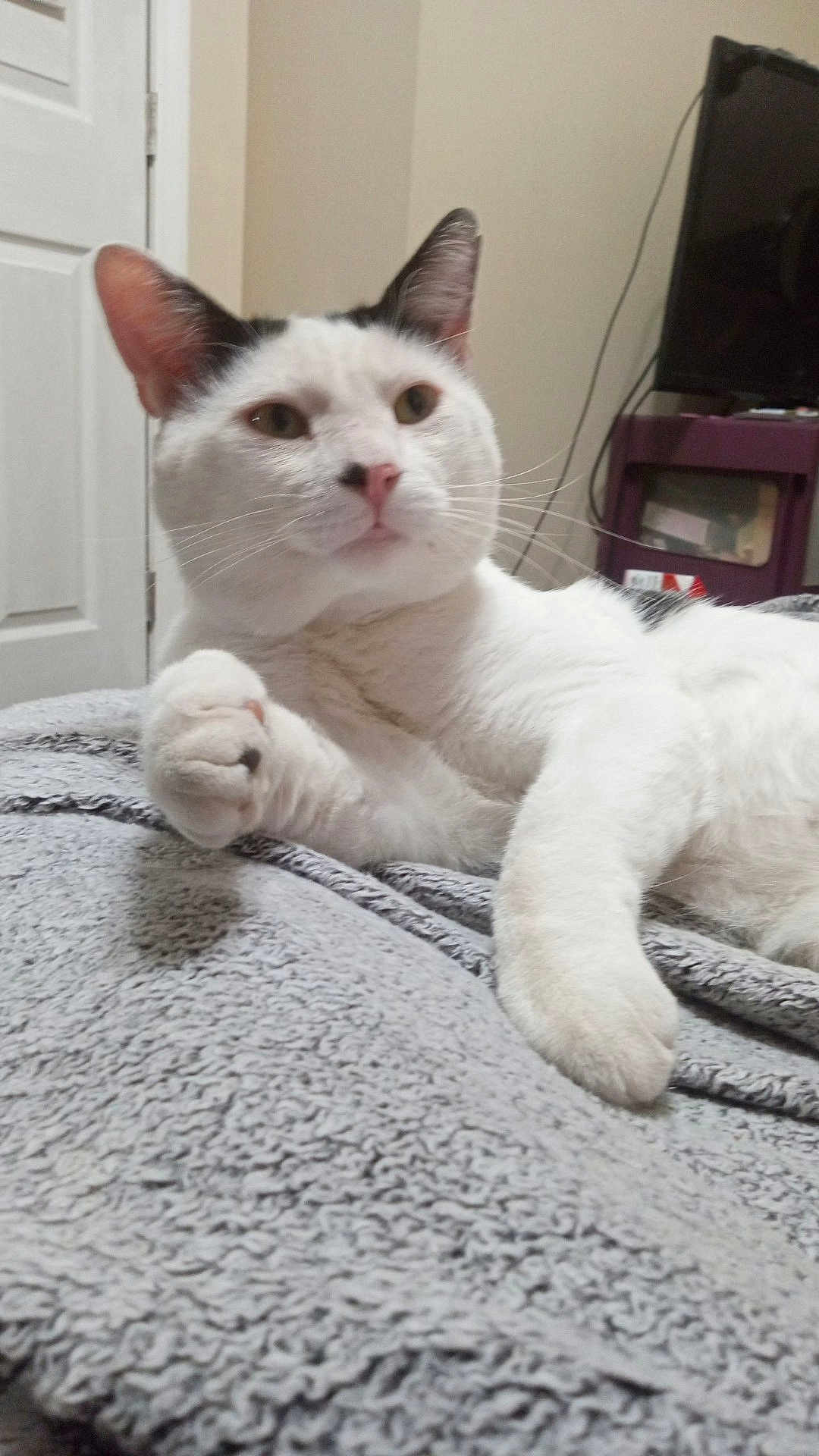 Opie Taylor