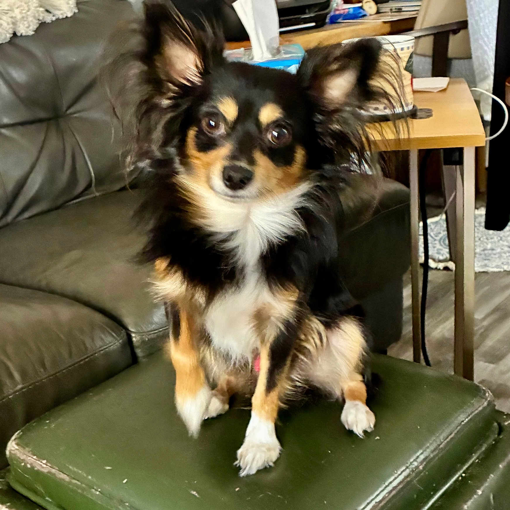 Diego