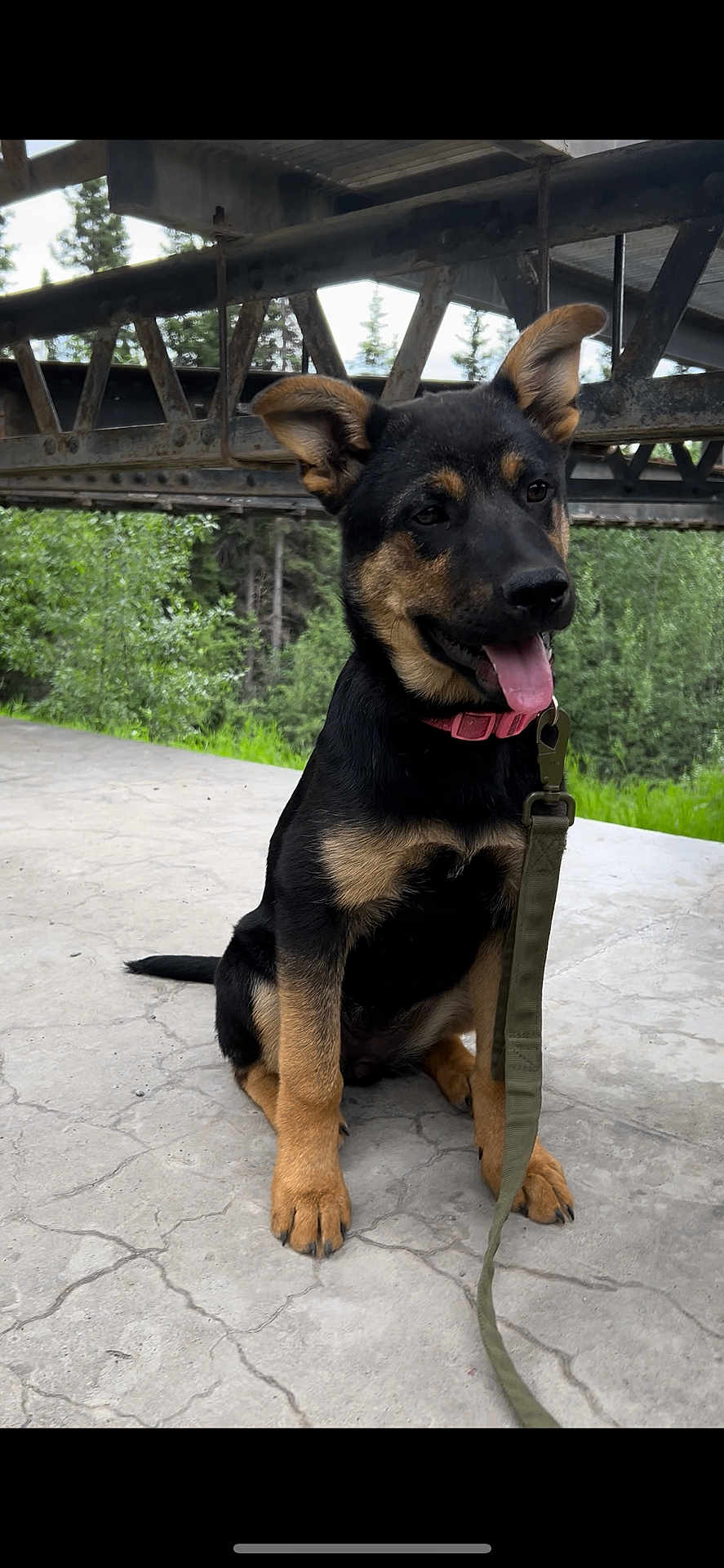 Kilo