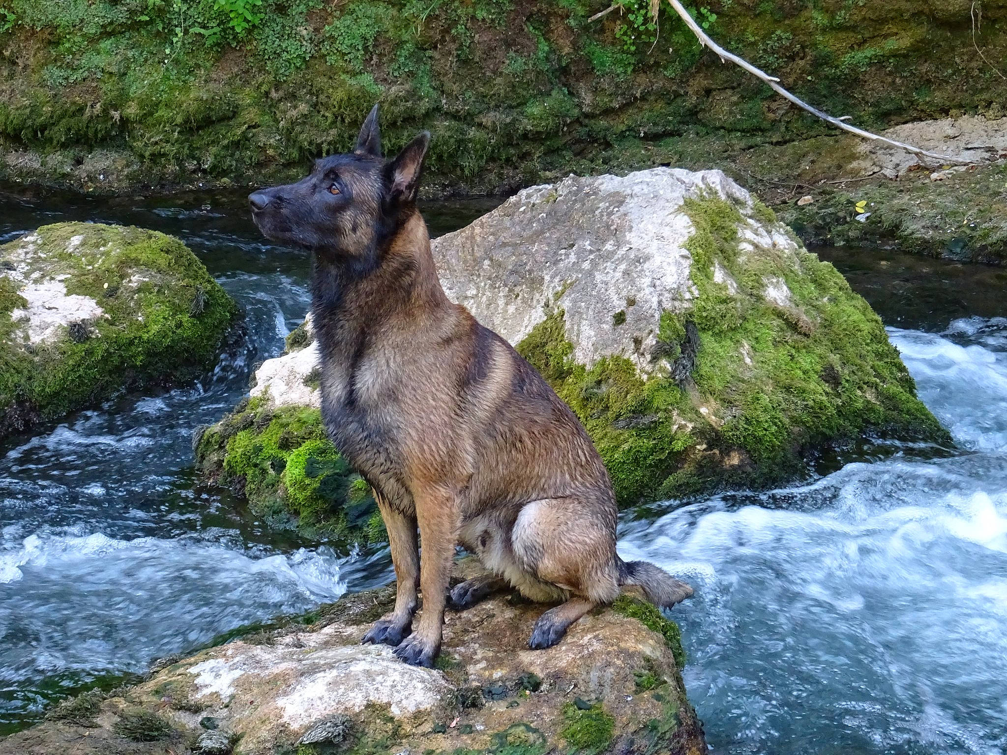 Mars Dieu De La Guerre