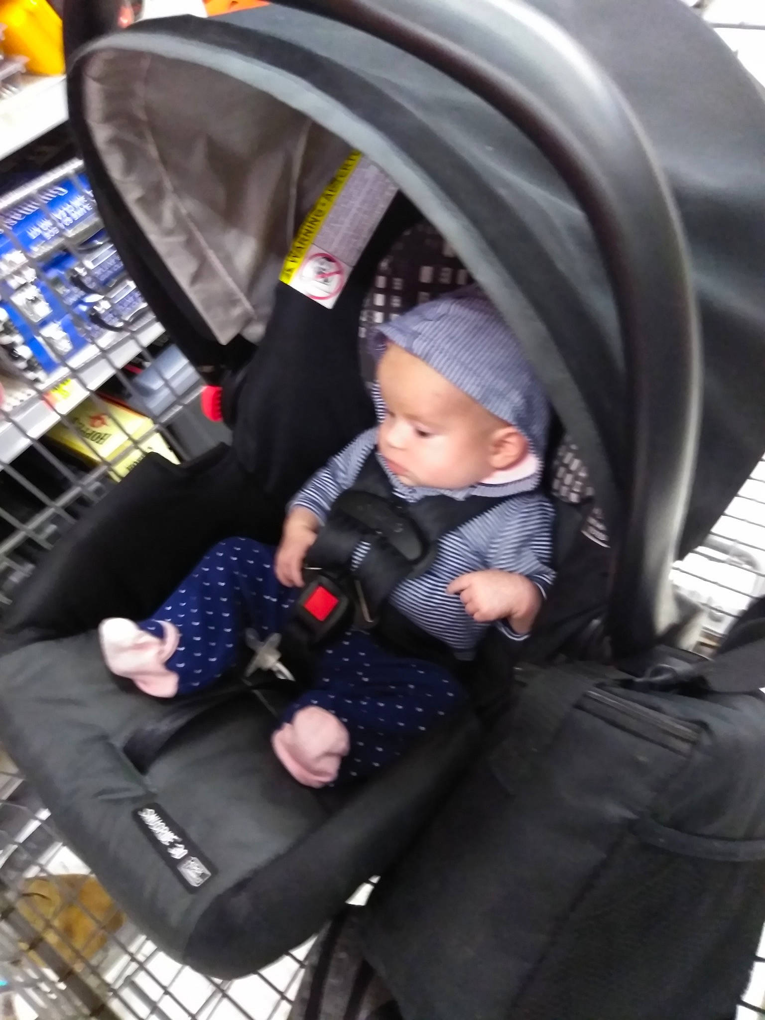 Willa joined the competition — help win amazing prizes! auto_part, baby_carriage, baby_products, car_seat, child, person, product, toddler