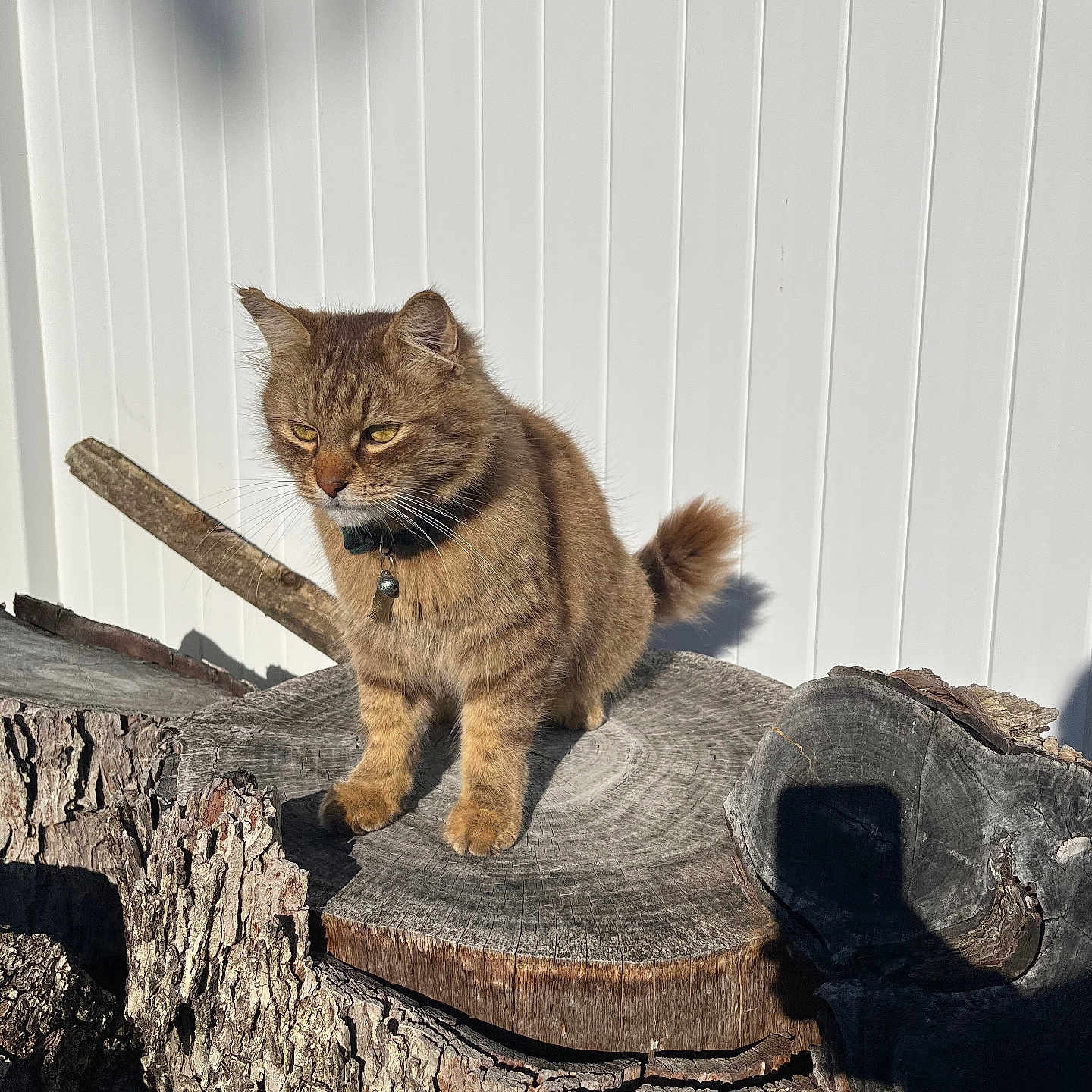 Skye