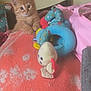 Abricot participe au concours pour gagner de l'argent avec cette photo : kitten, cat, orange_cat, plush_toy, blanket, pink_bag, backpack, indoor, cute, pet, feline, soft_toy, playful, curious, young_animal, cozy, resting, animal, domestic_cat, fur