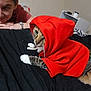 Ginger is registered to the contest to win money with this photo: cat, hoodie, red_clothing, bed, black_bedspread, person, smiling, indoor, feline, pet, curious, white_paws, striped_fur, watching, relaxed, cozy, casual, resting, human, friendly