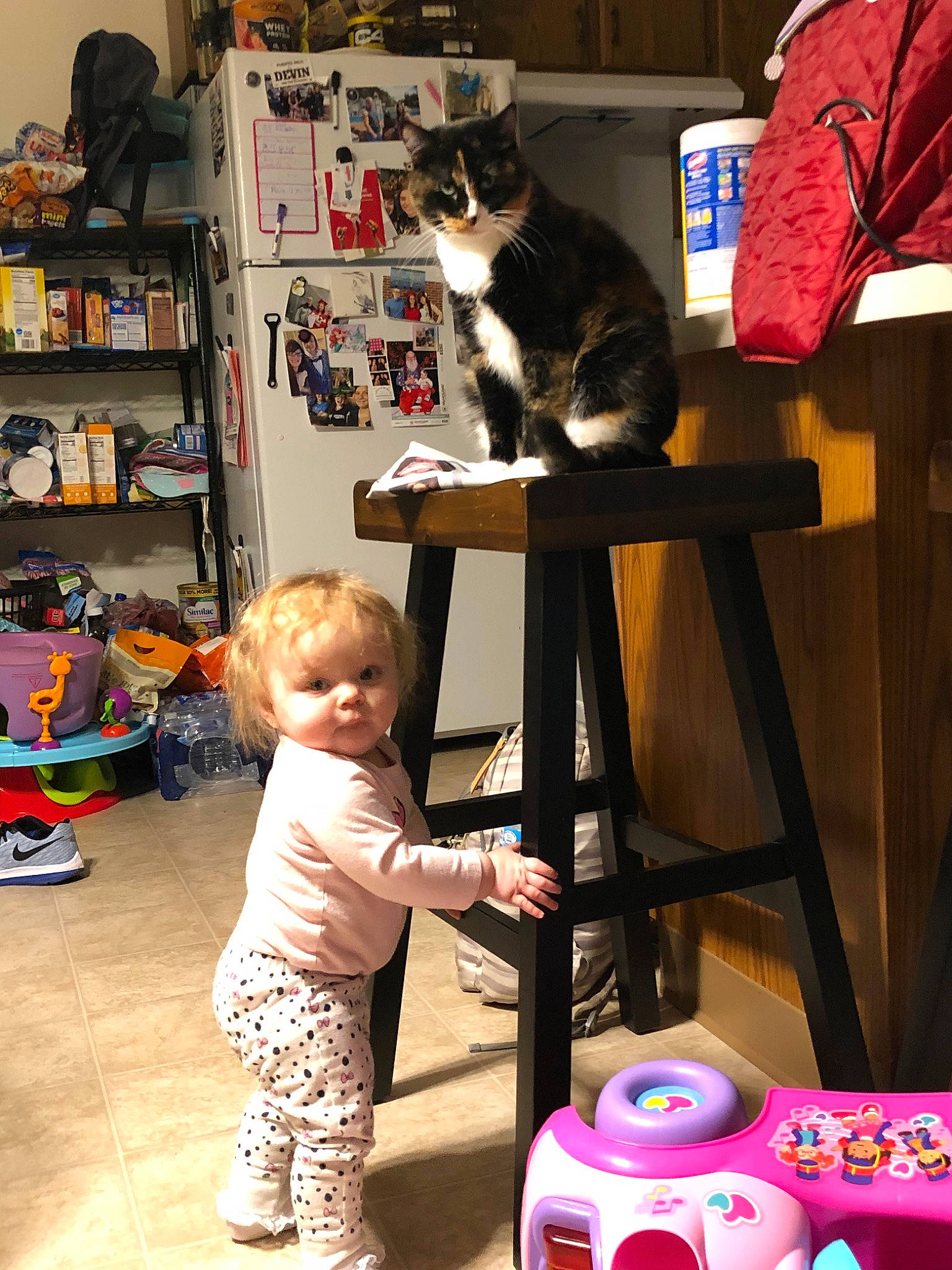 Kinzley is registered to the contest to win money with this photo: cat, child, felidae, person, play, shelf, shelving, small_to_medium_sized_cats, toddler, toy