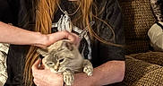 Beanie joined the competition — help win amazing prizes! person, cat, pet, long_hair, piercing, black_hat, black_tshirt, couch, blanket, indoor, smiling, sitting, hand, feline, relaxed, home, fur, comfort, lap, casual