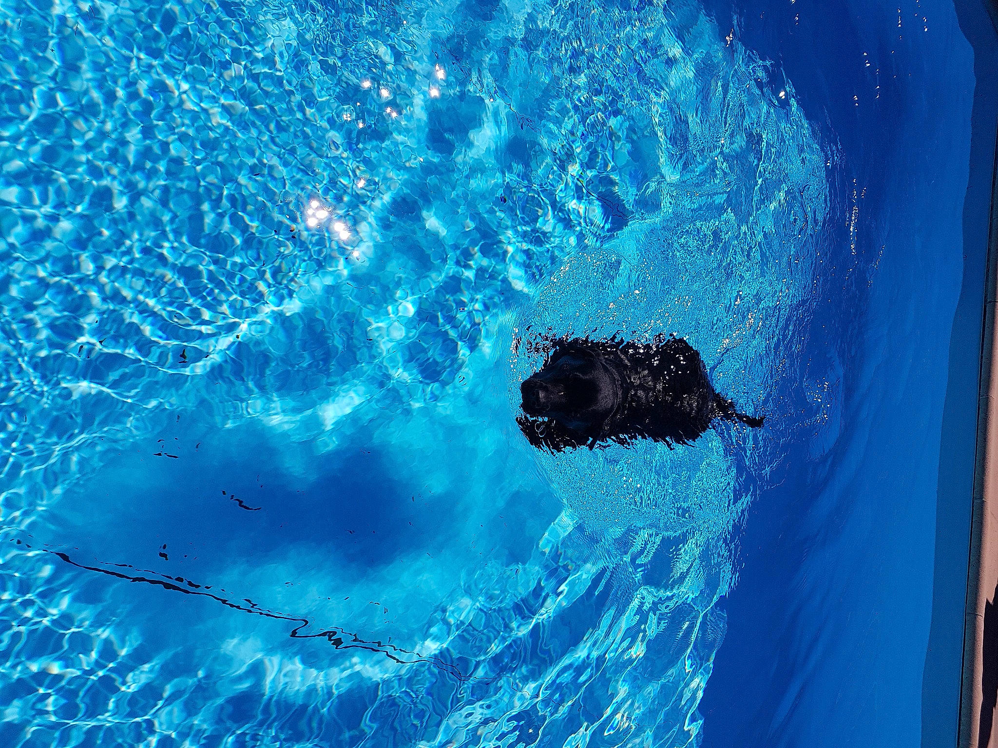 Idole a rejoint le concours — aidez-le/la à gagner de superbes lots ! azure, blue, electric_blue, fluid, ocean, sea, water, wave, wind_wave, world