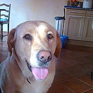 Dulka a rejoint le concours — aidez-le/la à gagner de superbes lots !