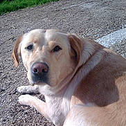 Dulka participe au concours pour gagner de l'argent avec cette photo :