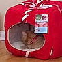 Pixie joined the competition — help win amazing prizes! cat, pet_bed, red, gift_shape, bow, collar, sleeping, wooden_floor, indoor, furniture, cozy, animal, resting, small, cute, domestic, feline, soft, home, comfort