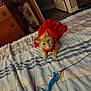 Pixie joined the competition — help win amazing prizes! cat, red_dress, bed, toy, feather_toy, striped_bedspread, furniture, dresser, door, indoor, pet, curious, orange_cat, animal, playful, cozy, home, resting, looking, feline