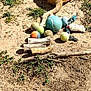 animal, bones, cat, daytime, dirt, dog_toys, feline, grass, ground, nature, orange_cat, outdoor, pet, playful, relaxing, resting, rope_toy, sunlight, tennis_balls, toys