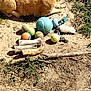 animal, cat, dirt, dog_toy, feline, ginger_cat, grass, ground, nature, outdoor, pet, playful, relaxed, resting, stick, summer, sunbathing, sunlight, tennis_ball, toy_collection