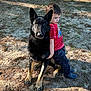 animal, black_dog, boots, boy, casual_clothing, child, companion, daylight, dirt_ground, dog, friendship, german_shepherd, grass, leaning, nature, outdoor, pet, shadow, sunlight, young