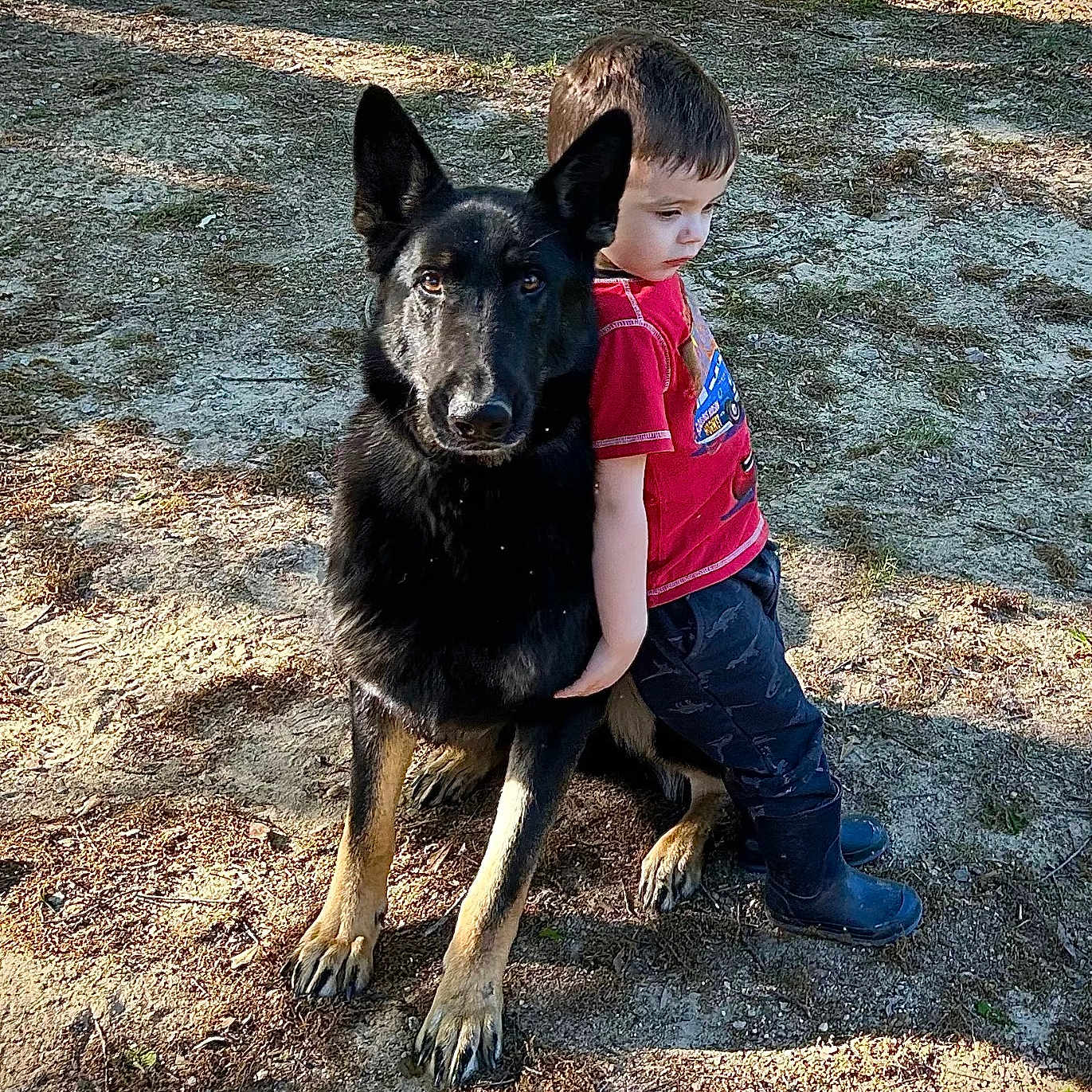 Loki joined the competition — help win amazing prizes! animal, black_dog, boots, boy, casual_clothing, child, companion, daylight, dirt_ground, dog, friendship, german_shepherd, grass, leaning, nature, outdoor, pet, shadow, sunlight, young