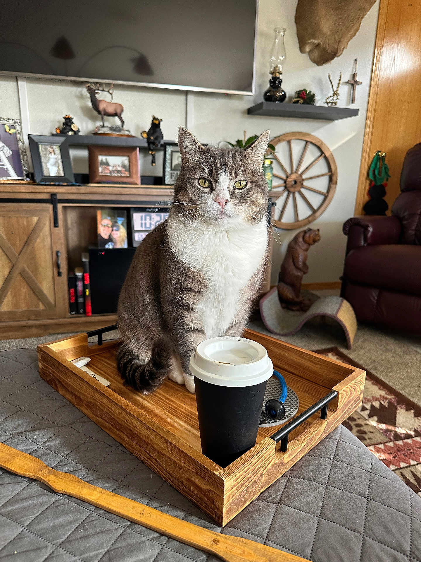 Bogart