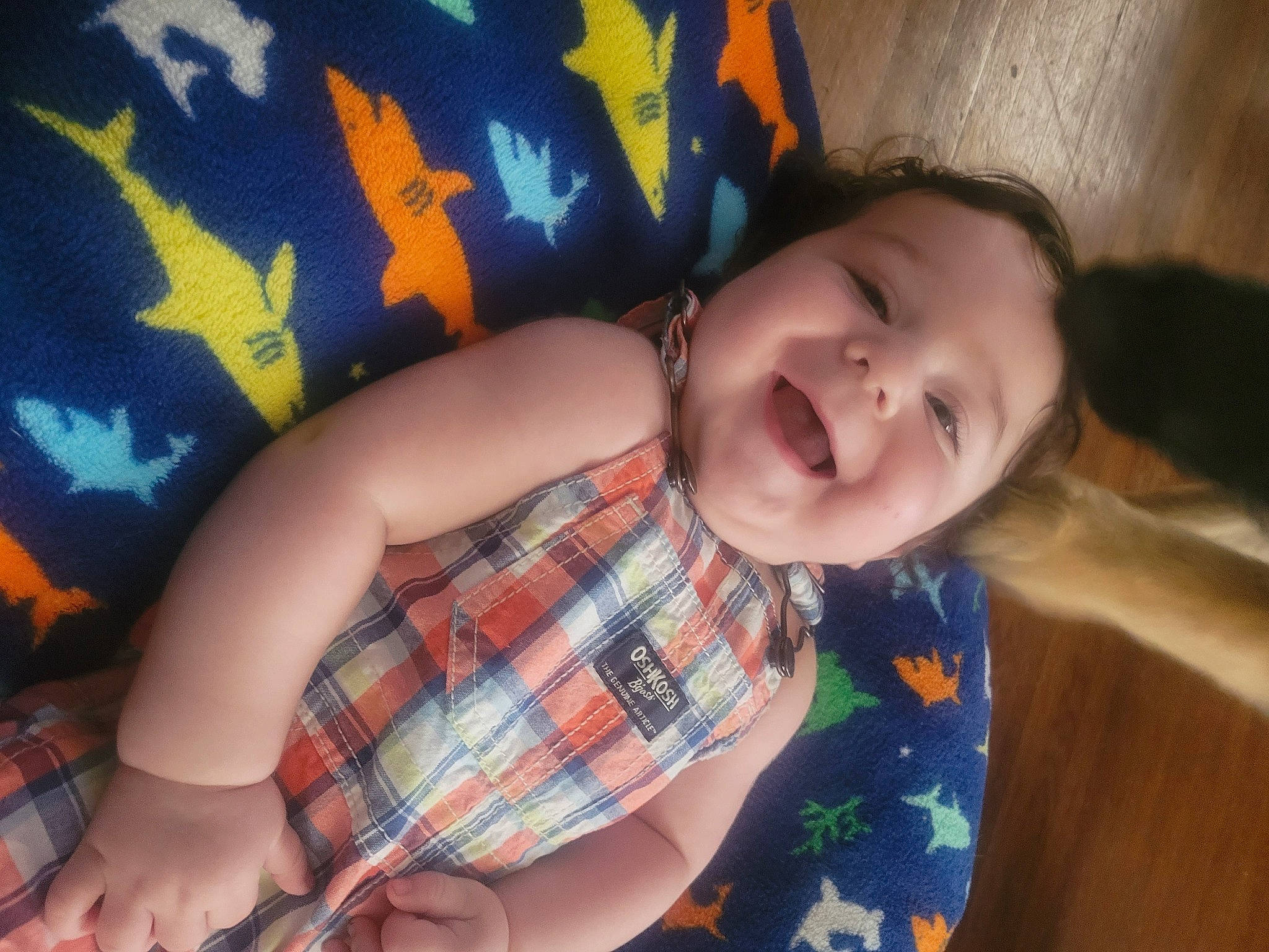 Vincent joined the competition — help win amazing prizes! cheek, comfort, elbow, eye, facial_expression, finger, fun, hair, happy, head, human_body, iris, mouth, nose, person, skin, smile, tartan, textile, thigh