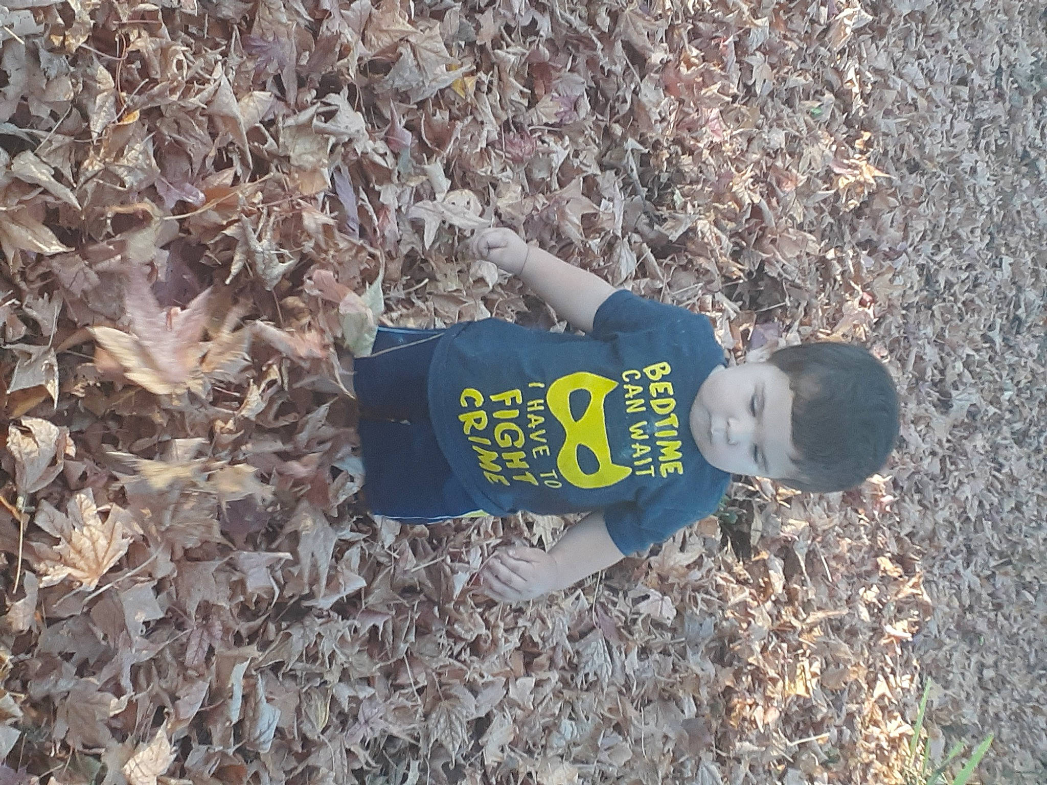 Landon is registered to the contest to win money with this photo: asphalt, deciduous, electric_blue, grass, grass_family, groundcover, hat, landscape, people_in_nature, person, plant, pollution, recreation, rock, shadow, sneakers, soil, t_shirt, toddler, tree