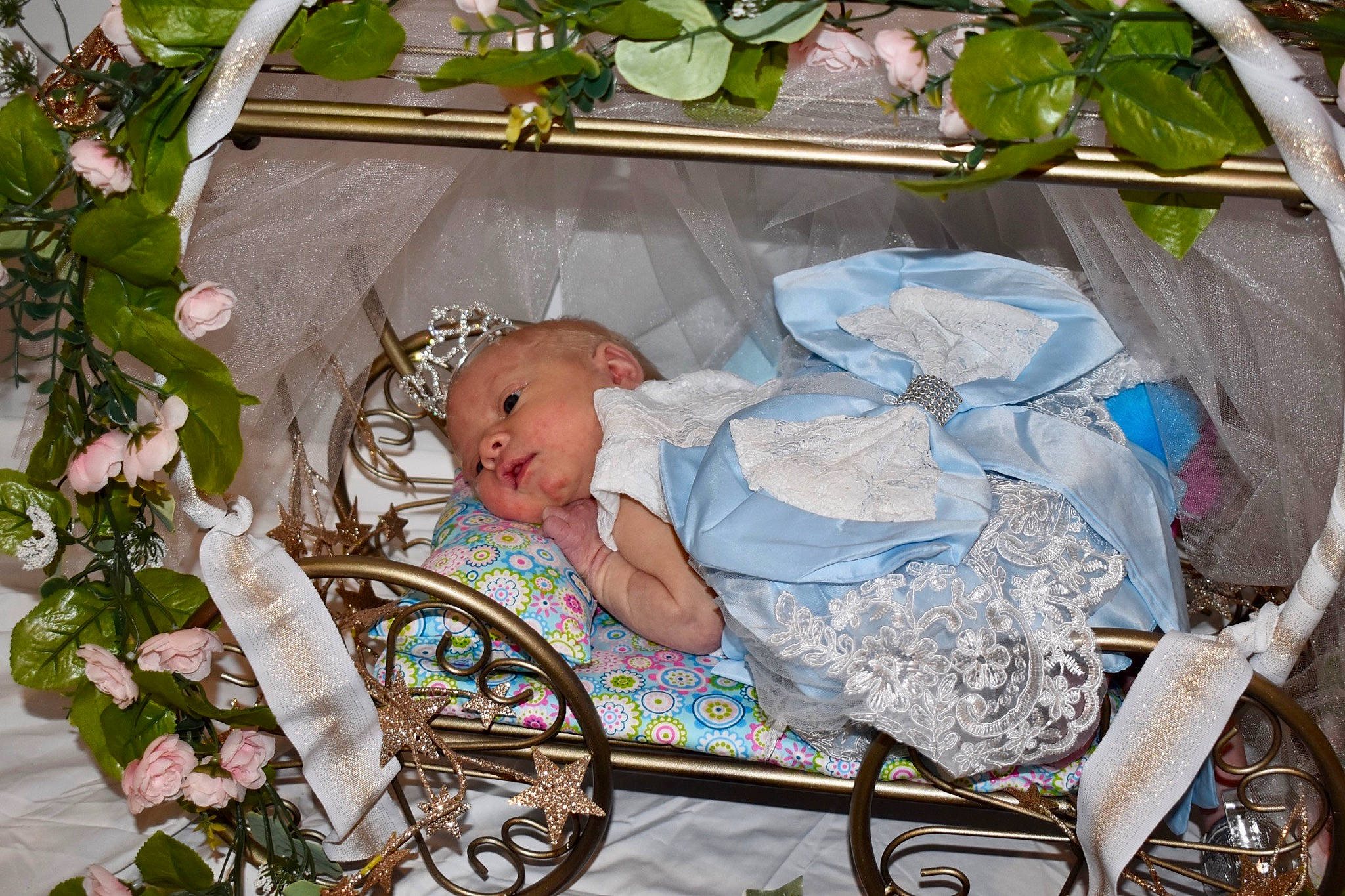 Celeste is registered to the contest to win money with this photo: baby, baby_products, baby_toddler_clothing, chair, child, event, grass, person, plant, rose, sitting, toddler