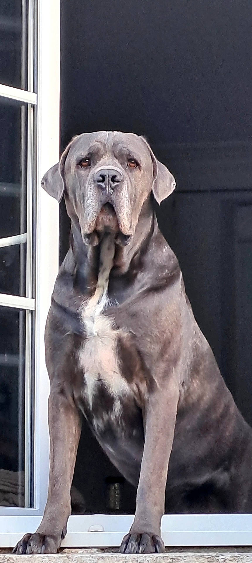 Thor