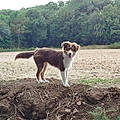 ceciletaudon7