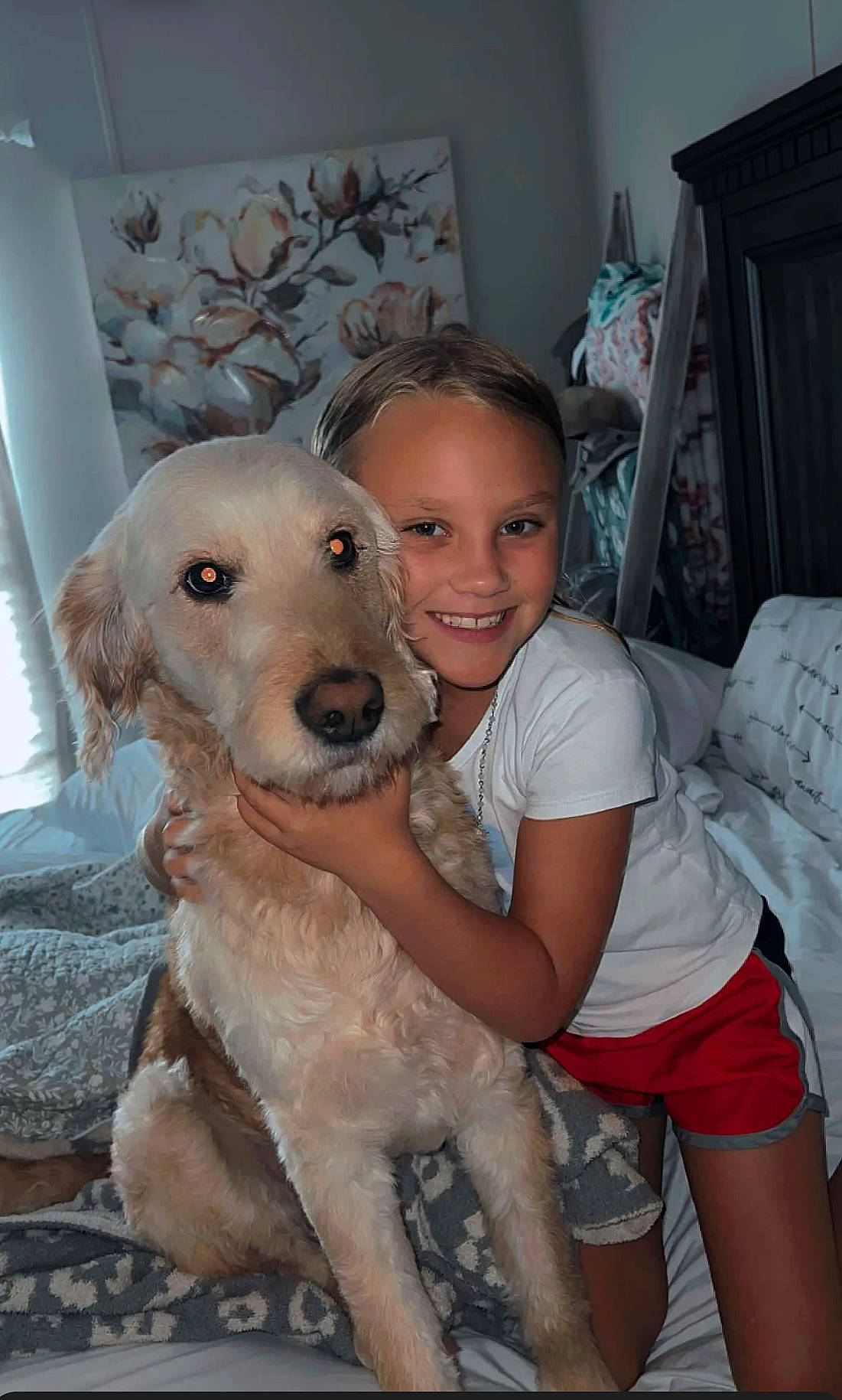 Annistyn is registered to the contest to win money with this photo: carnivore, child, companion_dog, dog, dog_breed, event, fawn, flooring, fun, fur, happy, human_leg, joy, lap, person, retriever, shorts, sitting, smile, sporting_group