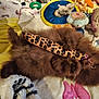 puppy, toy, leopard_print, stuffed_animals, blanket, butterfly_pattern, brown_fur, playful, lying_down, indoor, cute, pet, animal, soft_toys, colorful, cozy, fur, mouth_open, small_dog, chewing