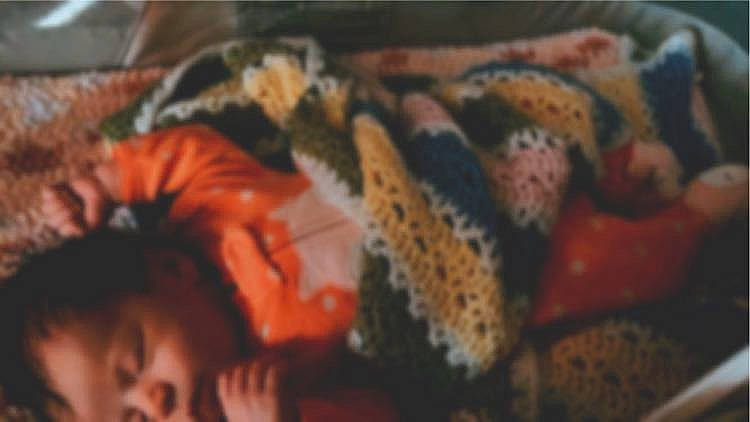 Alejandra is registered to the contest to win money with this photo: art, carmine, creative_arts, cuisine, eyelash, fashion_accessory, fur, ingredient, orange, pattern, person, room, visual_arts