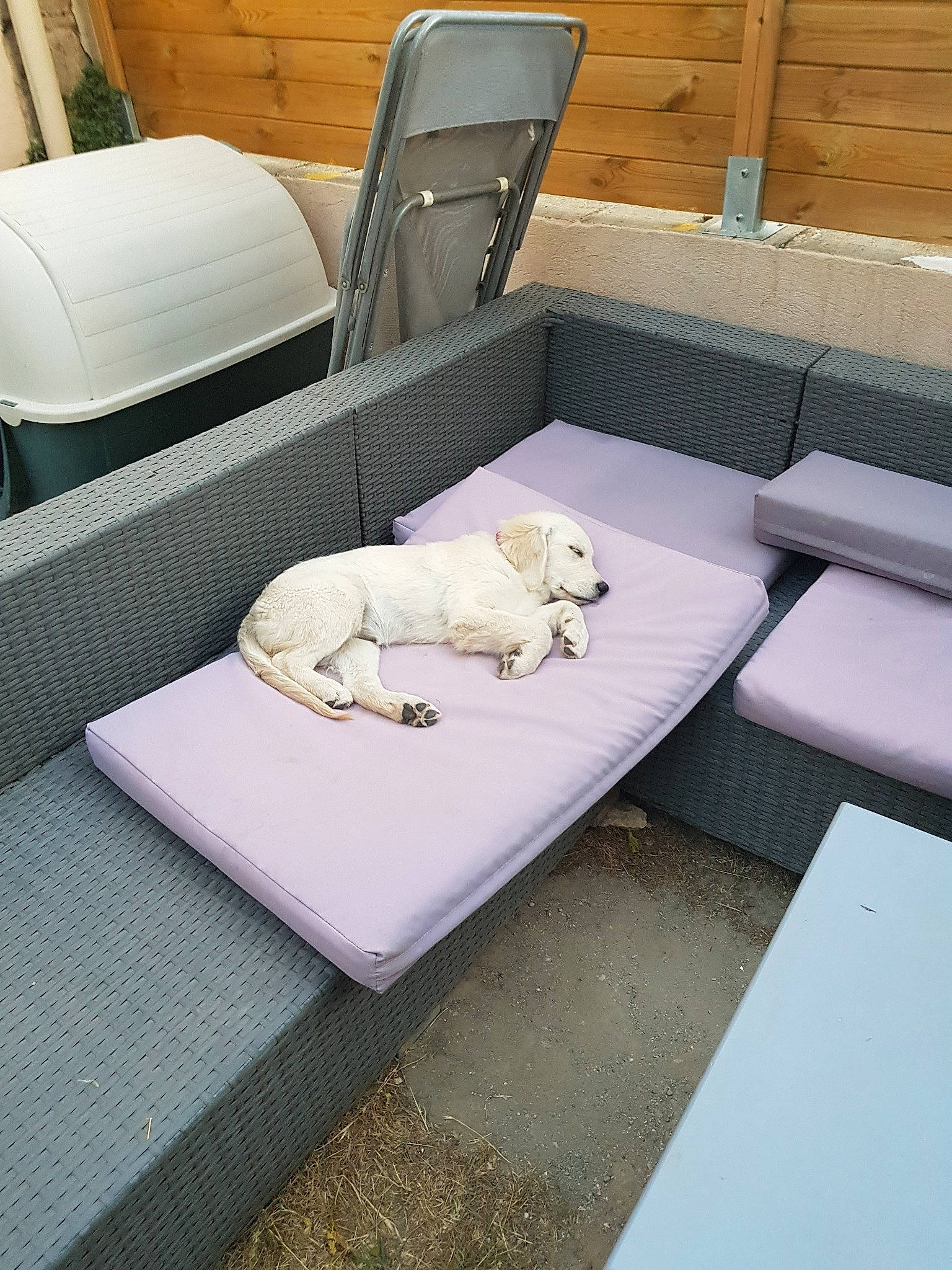 Nessy participe au concours pour gagner de l'argent avec cette photo : architecture, coffee_table, comfort, couch, floor, furniture, interior_design, room, slipcover, studio_couch, table