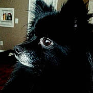 Rosceaux is registered to the contest to win money with this photo: