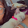 Lilly joined the competition — help win amazing prizes! kitten, cat, sleeping, pink_collar, bracelets, arm, person, glasses, hair, indoor, bedroom, clothes, relaxing, feline, resting, cute, pet, young_cat, cozy, casual