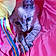 Lilly