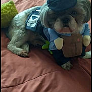 Mimi joined the competition — help win amazing prizes! dog, costume, bed, plush_toy, pet, indoor, cute, small_dog, brown_fur, pink_bedspread, animal, toy, resting, funny, pet_clothing, domestic_animal, dog_face, soft_toy, bedroom, casual