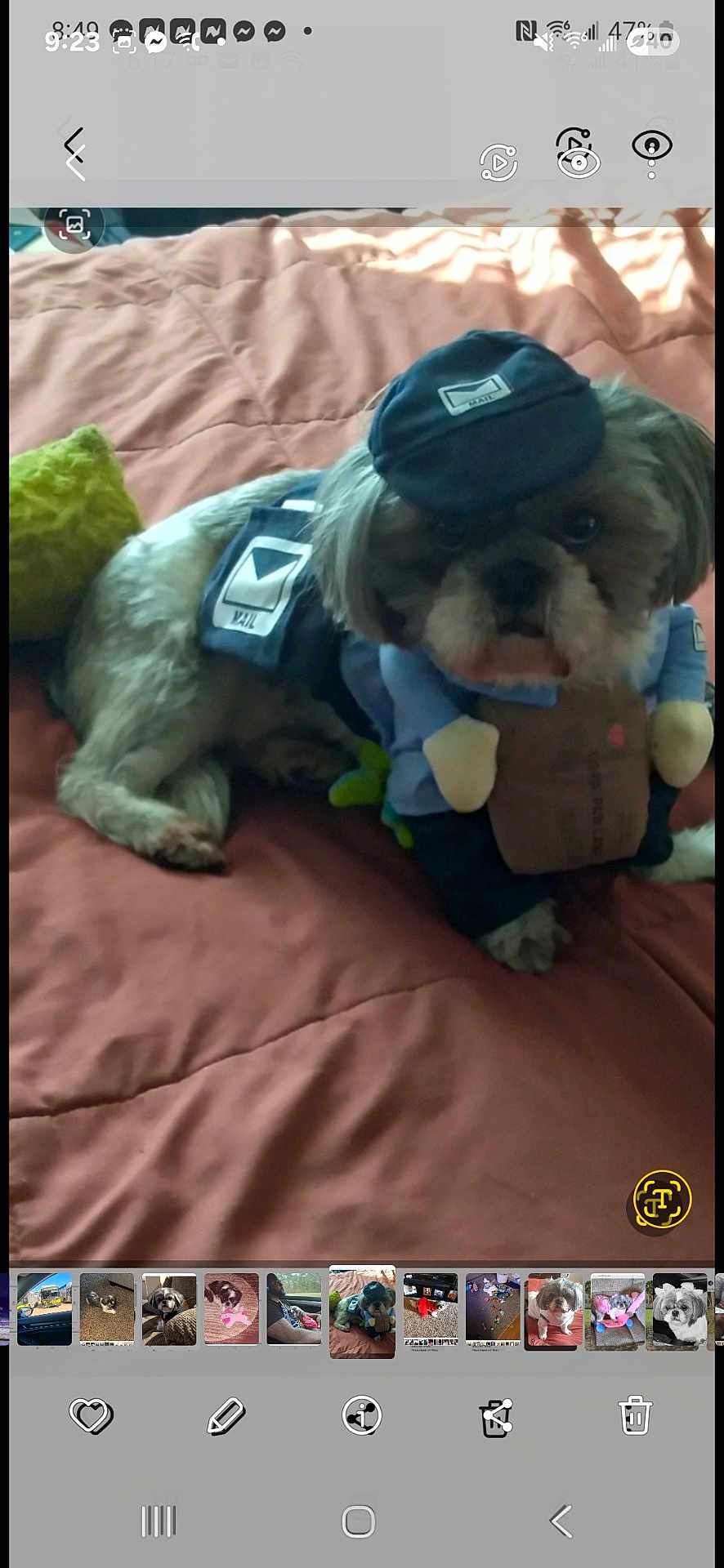 Mimi