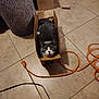 box_lover, cardboard, cardboard_box, cat, cord, cozy, curious, floor_tiles, gray_cat, green_eyes, indoor, living_room, looking_up, orange_extension_cord, packaging_box, paws, pet, scratching_post, tile_floor, whiskers