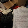 cat, black_cat, bed, blanket, cardboard_box, handwritten_notes, paper, indoors, home, curious, pet, feline, cozy, clutter, study, paw, wide_eyes, resting, domestic_animal, sleepy