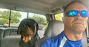 Rippley is registered to the contest to win money with this photo: man, dog, rottweiler, car_interior, sunglasses, seatbelt, driver, pet, vehicle, road, window, daytime, casual_clothing, reflection, backseat, leather_seat, portrait, outdoor, serious_expression, animal