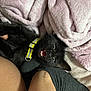 Riot joined the competition — help win amazing prizes! cat, black_cat, pet, animal, collar, yellow_collar, blanket, pink_blanket, legs, human_legs, cozy, indoor, cute, feline, teeth, mouth_open, resting, soft_texture, playful, close_up