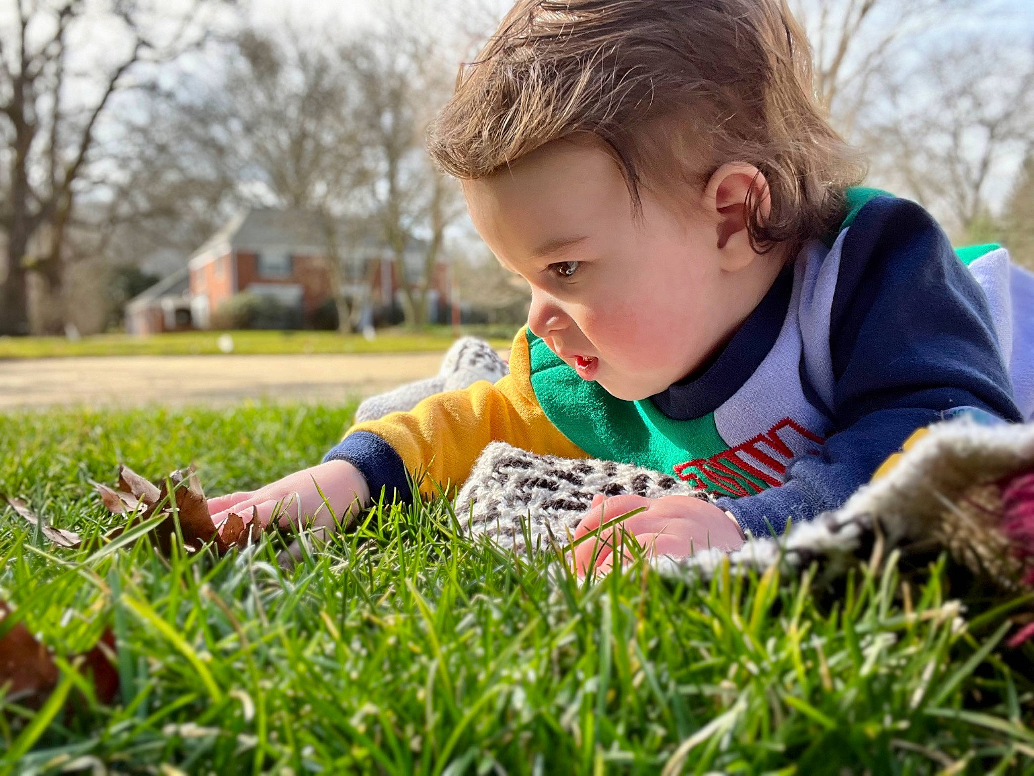 Louis is registered to the contest to win money with this photo: baby, baby_toddler_clothing, child, fun, grass, grass_family, grassland, happy, lawn, leaf, leisure, mammal, meadow, people_in_nature, person, plant, recreation, sitting, toddler, tree