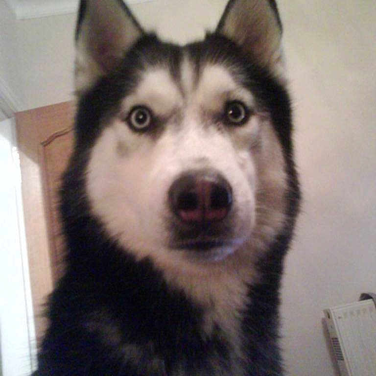 Benny