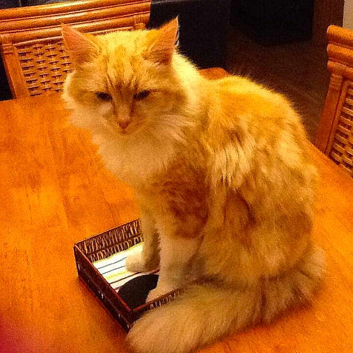 Benny