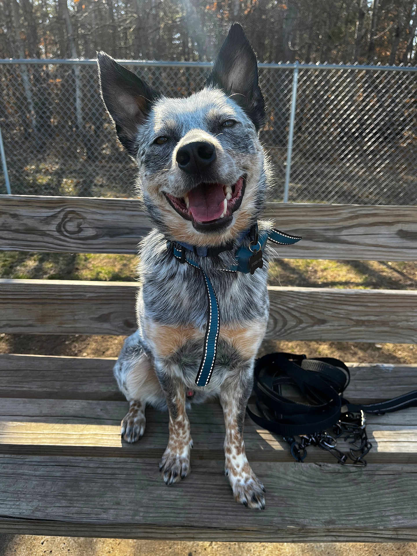 Axel