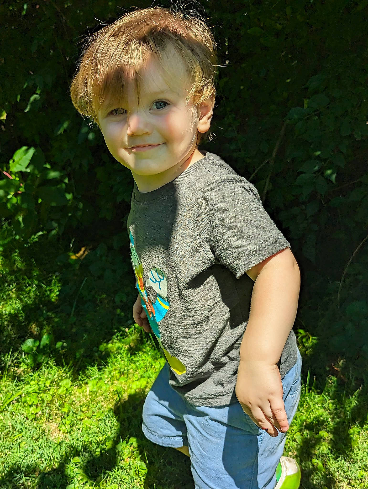 Maddox is registered to the contest to win money with this photo: botany, child, cool, electric_blue, fun, garden, gesture, grass, grass_family, happy, joy, lawn, leisure, people_in_nature, person, plant, shrub, smile, t_shirt, terrestrial_plant