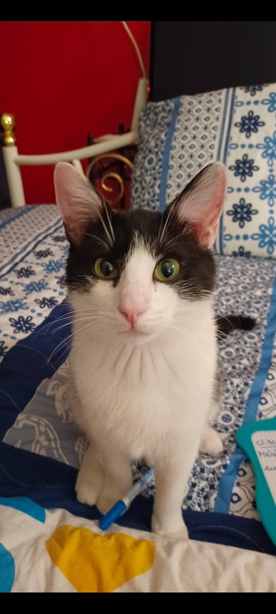 Mégot