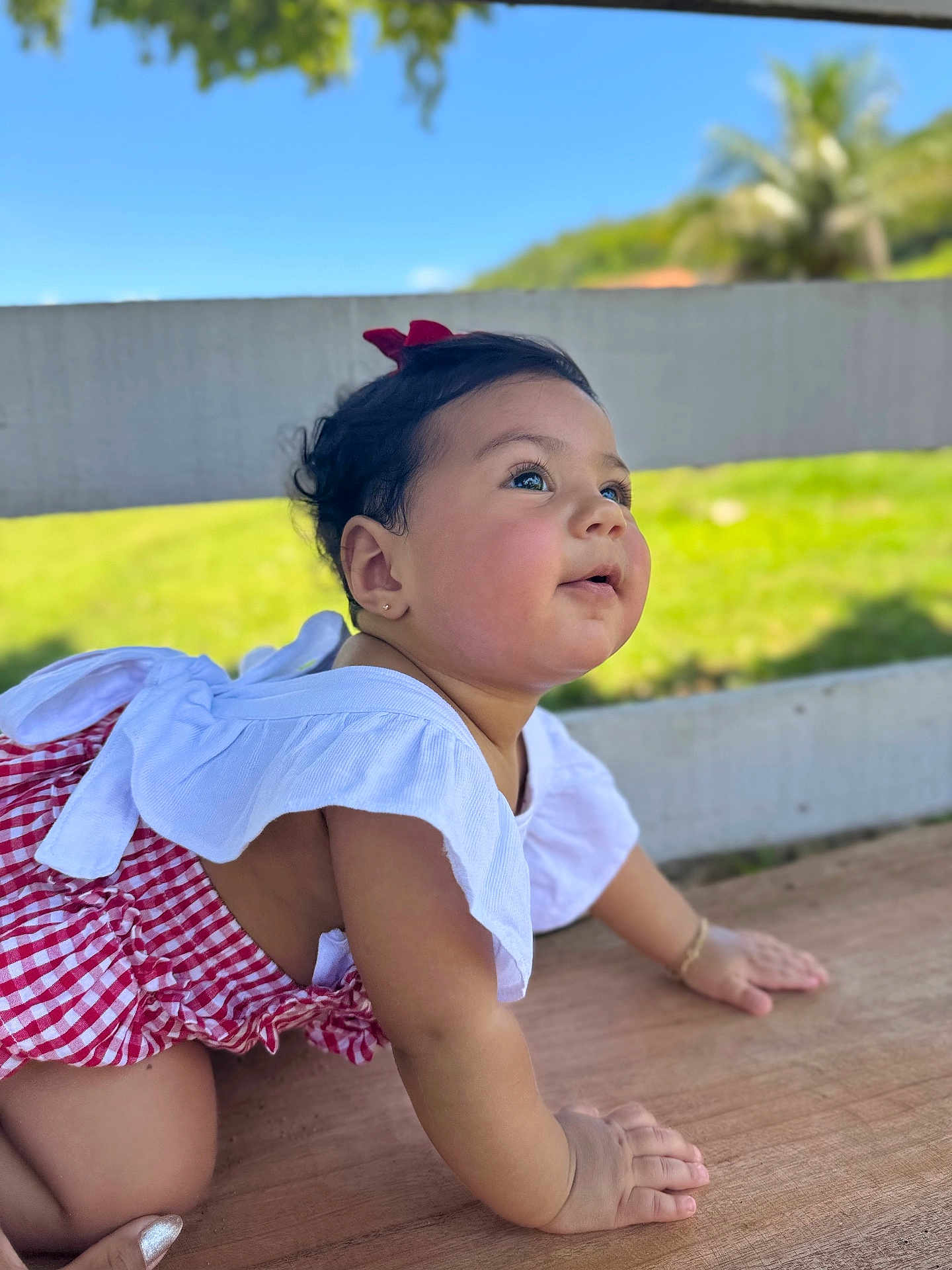Catarina joined the competition — help win amazing prizes! baby, child, infant, crawling, outdoor, sunny, greenery, wood, red_bow, white_top, gingham, cute, curious, portrait, fence, nature, daylight, smiling, happy, closeup
