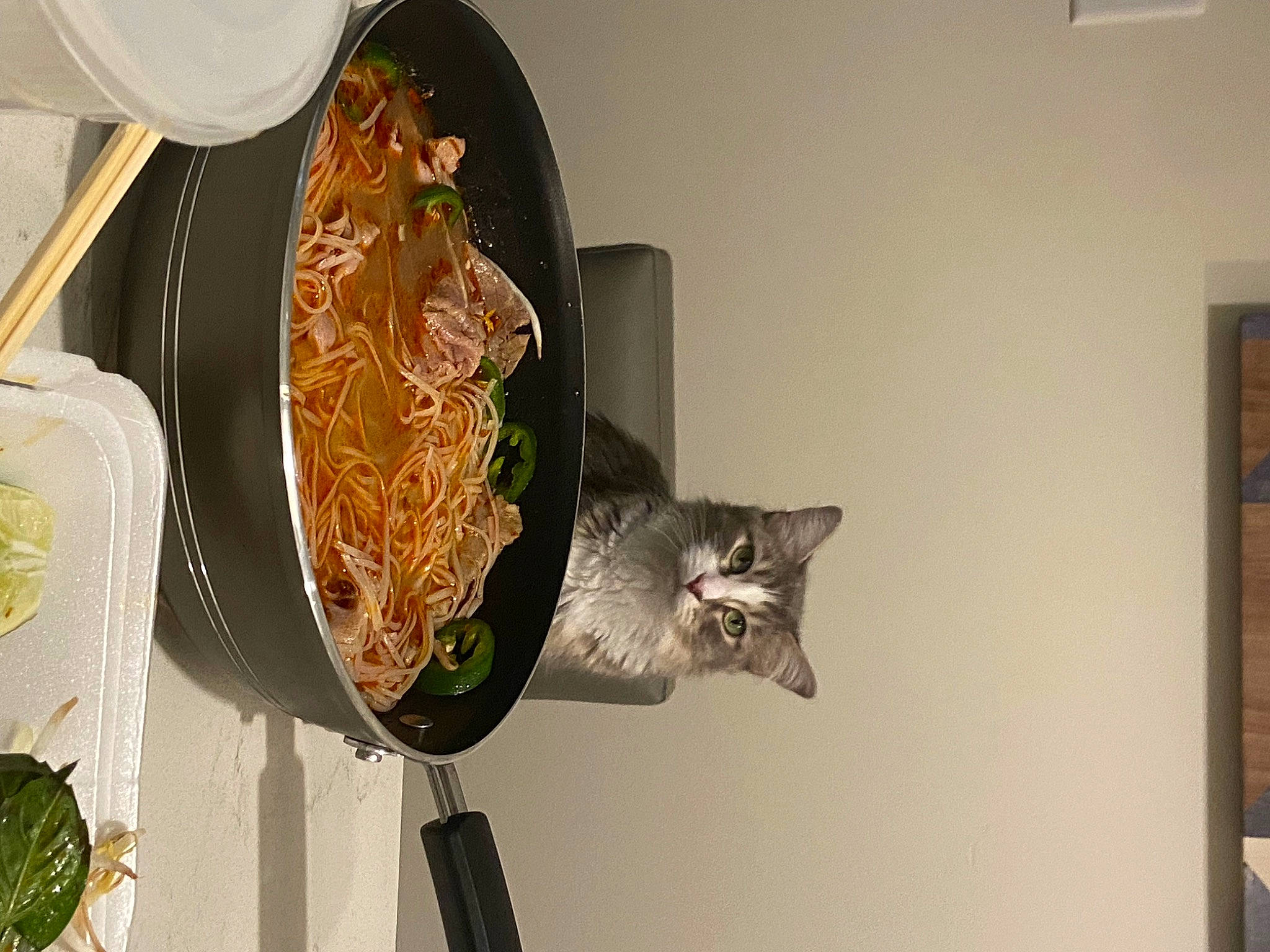 Wanda is registered to the contest to win money with this photo: carnivore, cat, cooking, cuisine, culinary_art, dish, domestic_short_haired_cat, felidae, flowerpot, food, houseplant, ingredient, picture_frame, plant, recipe, room, small_to_medium_sized_cats, tableware, whiskers, wood