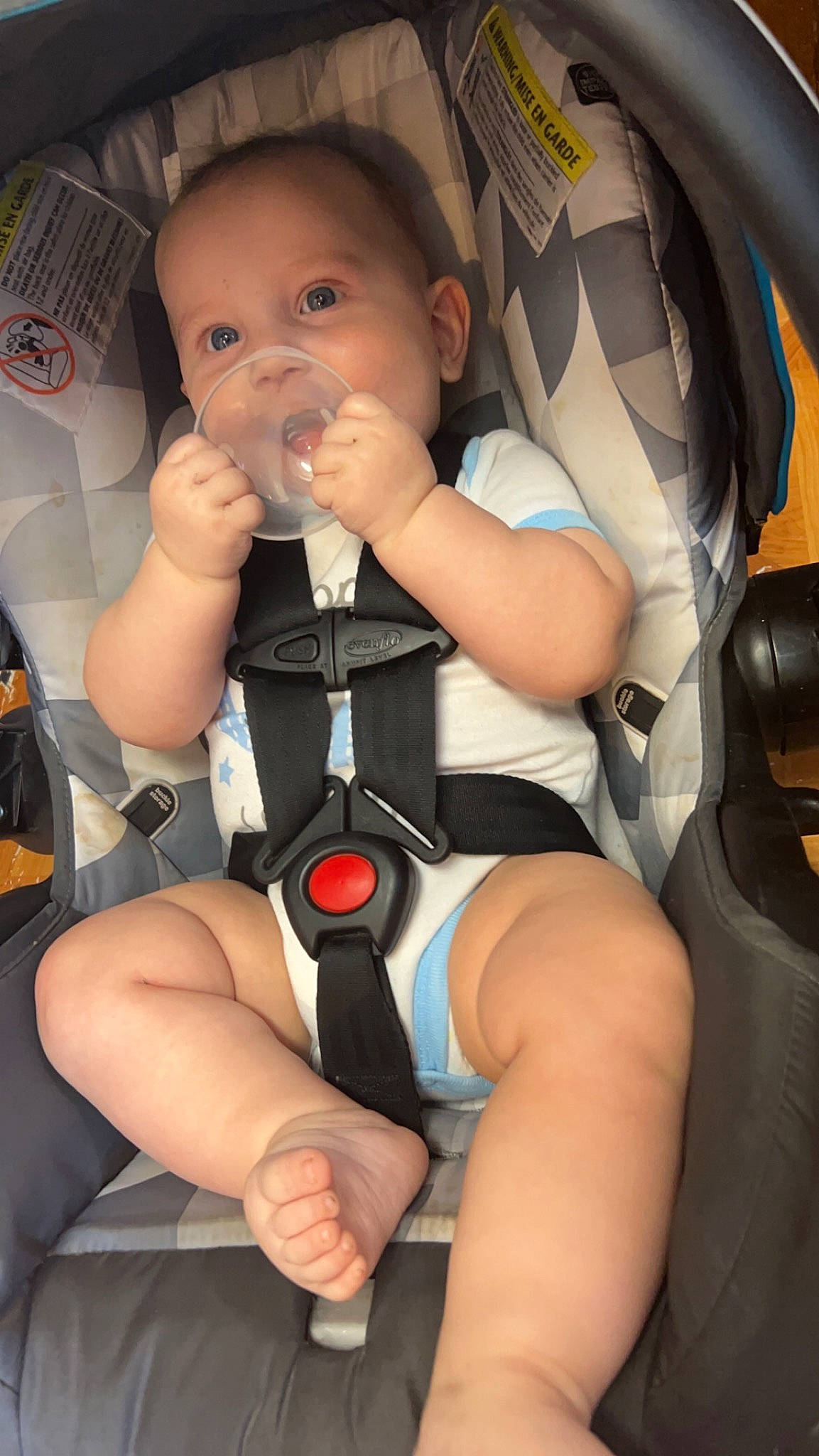 Shaffer is registered to the contest to win money with this photo: baby, baby_carriage, baby_toddler_clothing, car_seat, child, comfort, finger, hand, human_leg, knee, leg, muscle, nail, person, seat_belt, sitting, skin, thigh, thumb, toddler