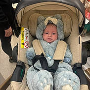 Finley is registered to the contest to win money with this photo: baby, car_seat, fuzzy_costume, bear_ears, blue, infant, straps, person, store, shelves, products, pacifier, footwear, cute, indoor, shopping, child, clothing, face, seat
