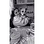 Héra participe au concours pour gagner de l'argent avec cette photo : woman, dog, hugging, kitchen, table, cup, milk_carton, curtains, cabinet, patterned_tablecloth, black_and_white, portrait, pet, domestic_scene, smile, indoor, close_up, cozy, friendly, casual