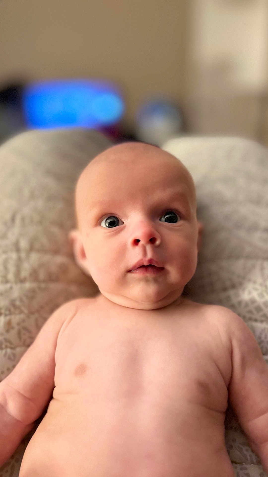 Kashton Smith is registered to the contest to win money with this photo: baby, infant, bare_chest, face, eyes, skin, expression, portrait, person, newborn, cute, lying_down, soft, quilt, indoor, head, chubby, curious, child, young
